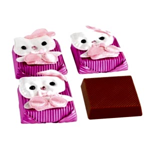 Kedicik Kızıma Çikolata Yeni Bebek Çikolatası