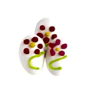 Papatya Çiçeği Badem Şekeri Çikolata