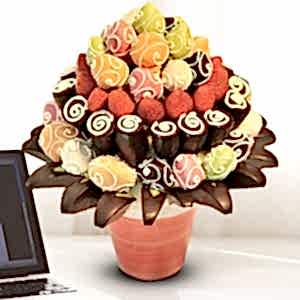 Mükemmel Truffle Meyve Buketi